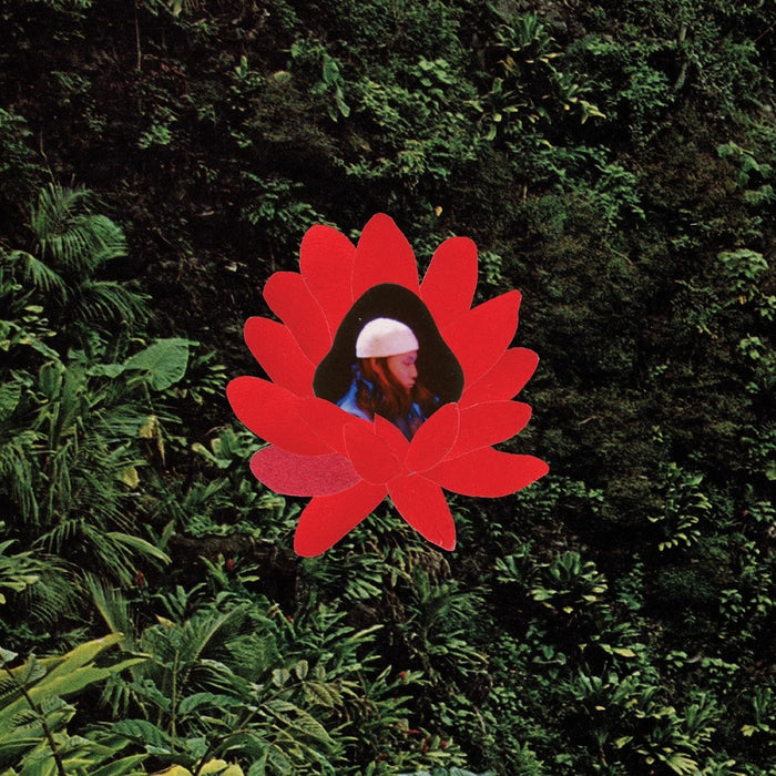 Lionmilk When The Flowers Bloom Vinyl LP 2025