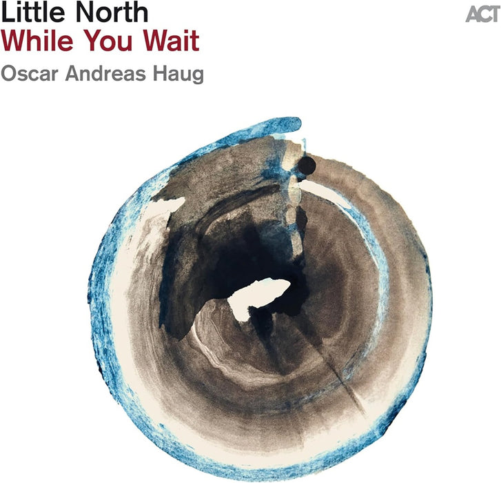 Little North While You Wait Vinyl LP 2024