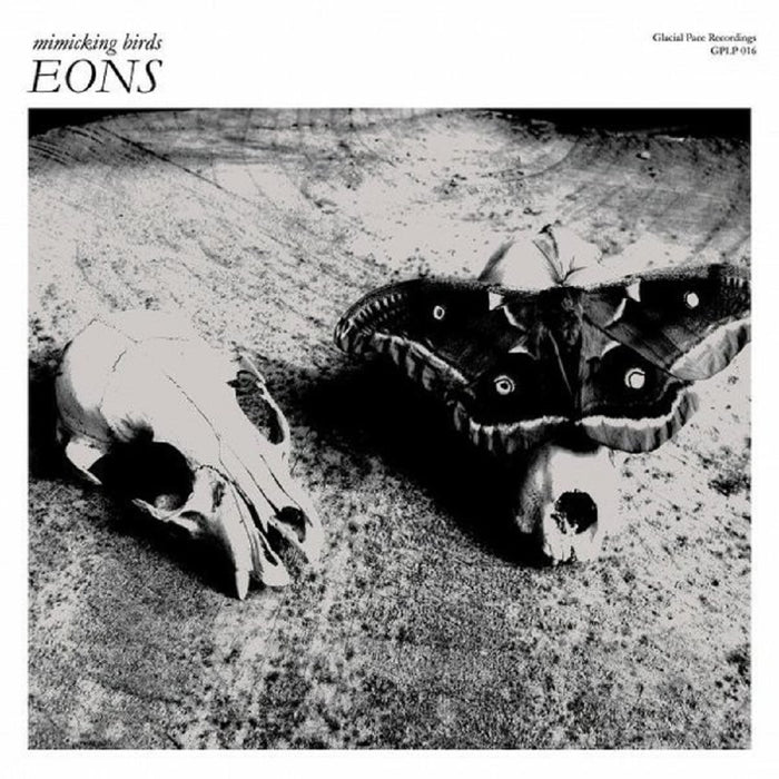 MIMICKING BIRDS EONS LP VINYL NEW 2014 33RPM