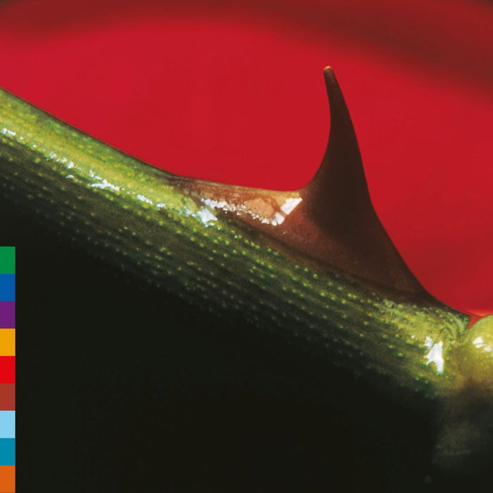 Nusrat Fateh Ali Khan & Michael Brook Night Song Vinyl LP Rose Leaf Green Colour Due Out 16/10/26