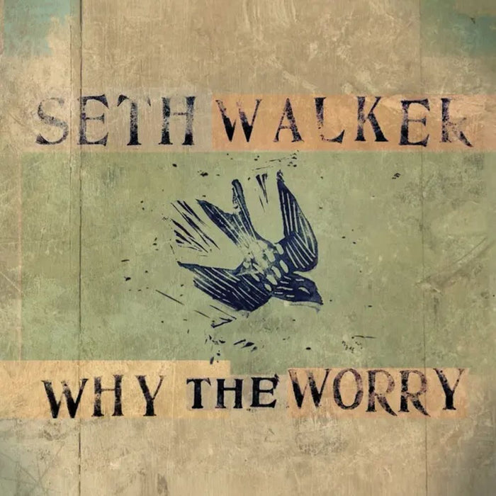 Seth Walker Why The Worry Vinyl LP 2025