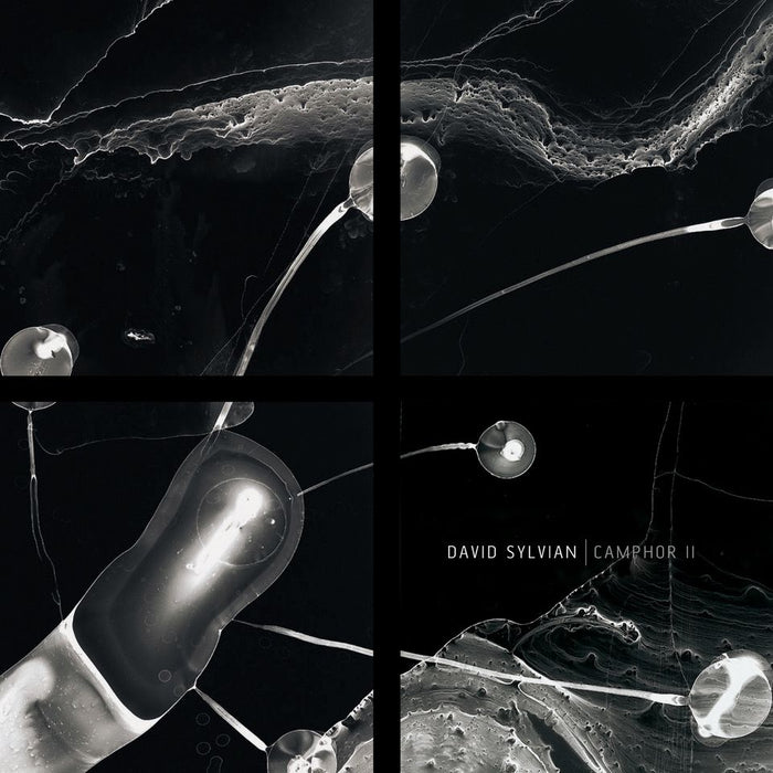 David Sylvian Camphor II Vinyl LP Translucent White Colour RSD 2025
