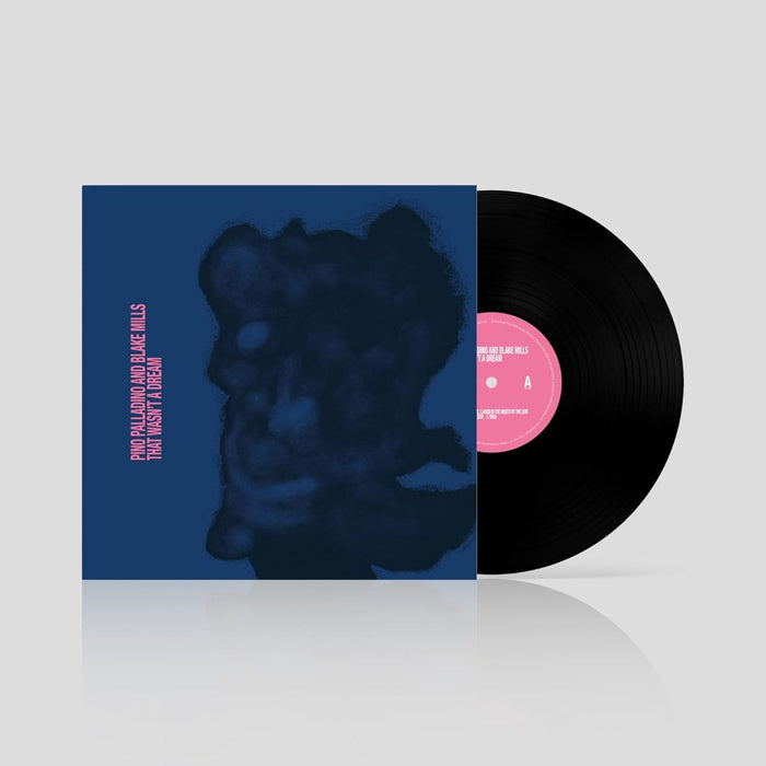 Pino Palladino & Blake Mills That Wasn't a Dream Vinyl LP 2025