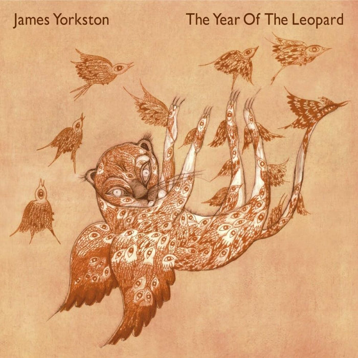 James Yorkston The Year Of The Leopard Vinyl LP 2023