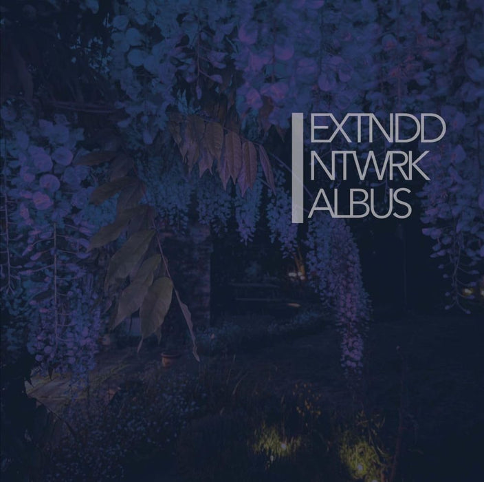 EXTNDDNTWRK Albus Vinyl LP Indies 2025