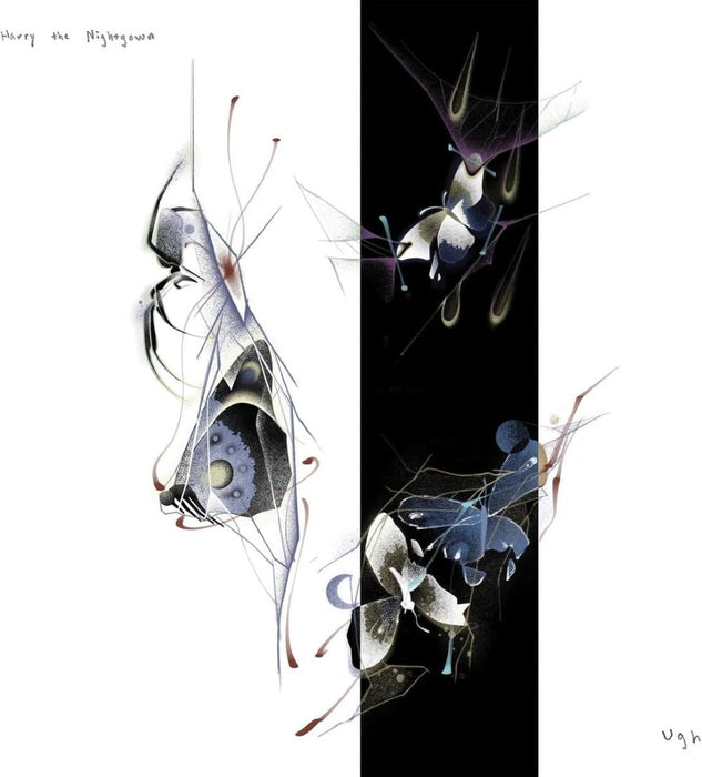 Harry the Nightgown Ugh Vinyl LP 2025