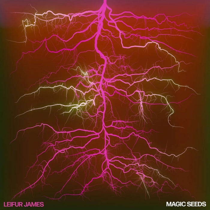 Leifur James Magic Seeds Vinyl LP 2024