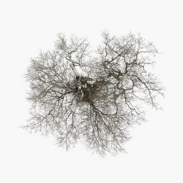 John Metcalfe Tree Vinyl LP 2023