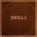 Jungle Sunshine Vinyl LP