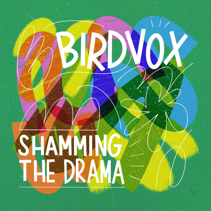 Birdvox Shamming The Drama Vinyl LP Due Out 18/09/26