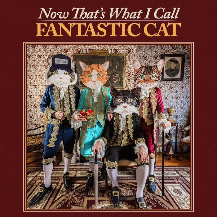 Fantastic Cat Now That's What I Call Fantastic Cat Vinyl LP 2024