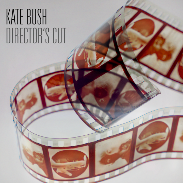 Kate Bush Director's Cut (2018 Remaster) Vinyl LP 2023