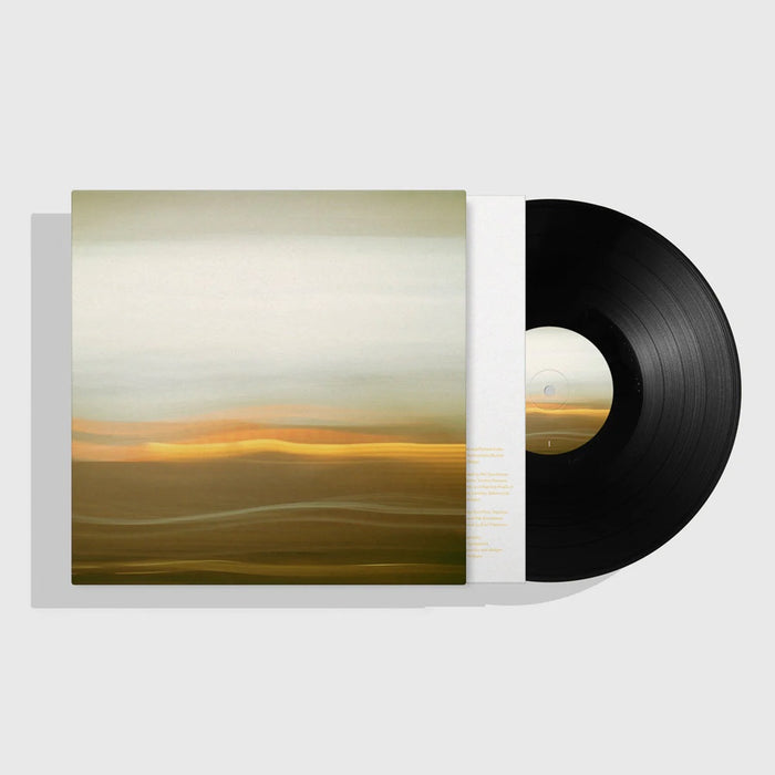 Emil Friis, Patricio Fraile, Joe Zeitlin The Expected Sounds of Minor Music Vinyl LP 2023