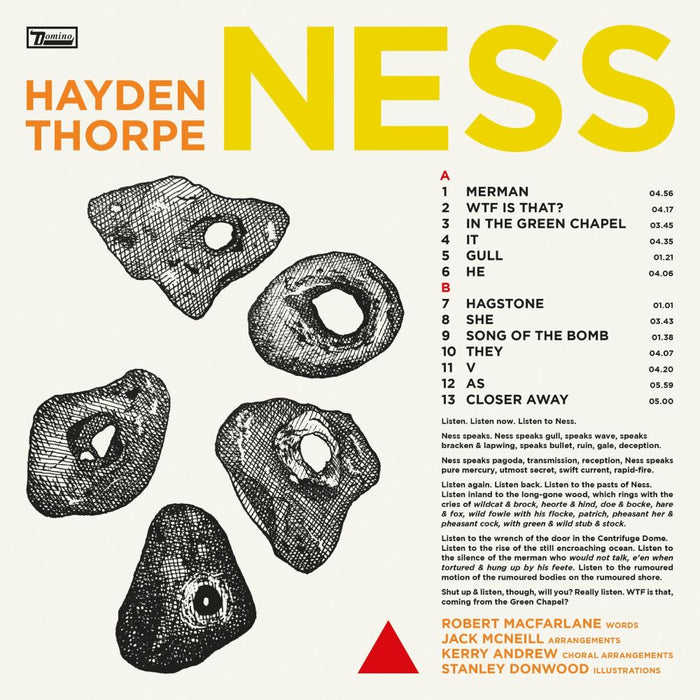 Hayden Thorpe Ness Vinyl LP Due Out 27/09/24