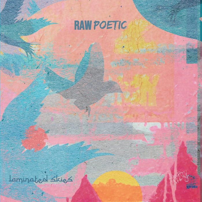 Raw Poetic and Damu Fudgemunk Laminated Skies Vinyl LP 2022