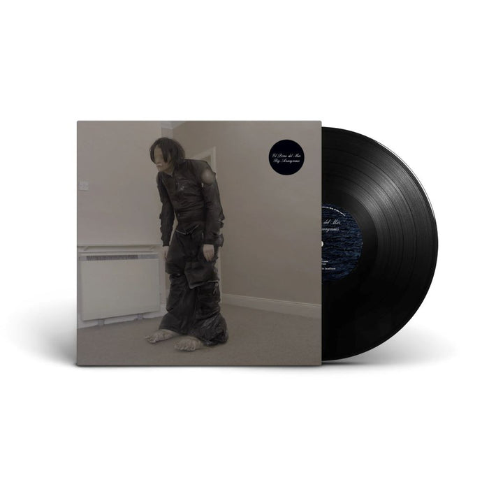 El Perro del Mar Big Anonymous Vinyl LP 2024