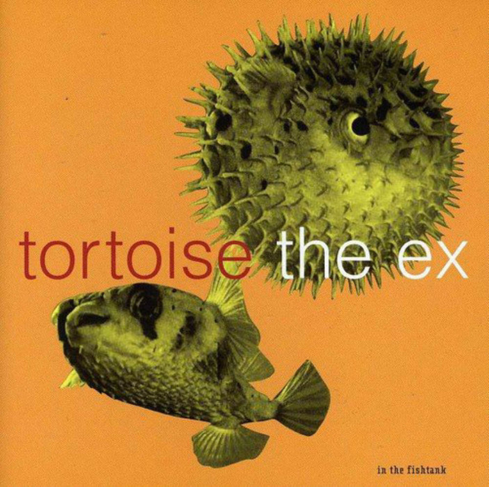 Tortoise Ex in the Fishtank Vinyl LP New 2013