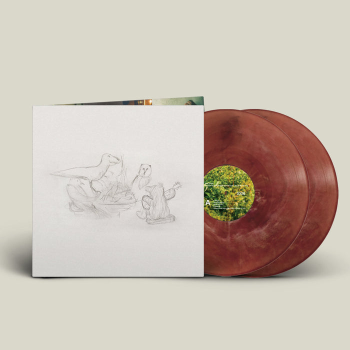 Big Thief Dragon Warm Mountain I Believe In You Vinyl LP Eco-Friendly Colour 2022