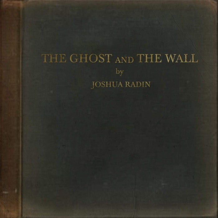 Joshua Radin The Ghost & The Wall Vinyl LP 2021