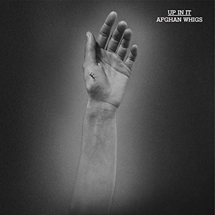 The Afghan Whigs Up In It Vinyl LP 2017