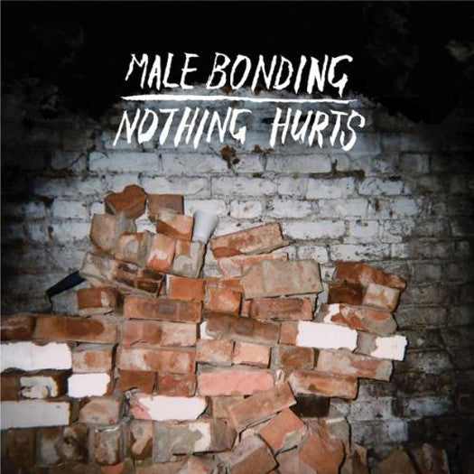 MALE BONDING NOTHING HURTS LP VINYL NEW 33RPM 2010