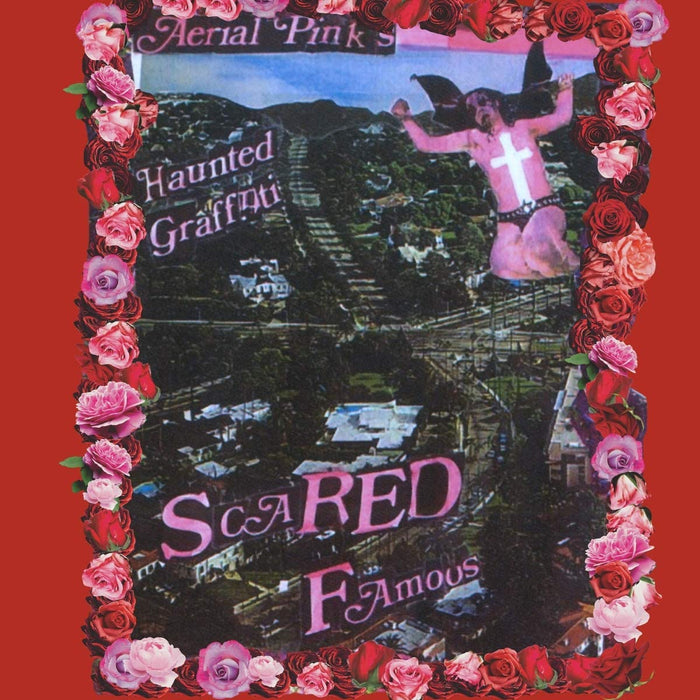 Ariel Pink - Scared Famous/Ff>> Vinyl LP 2021