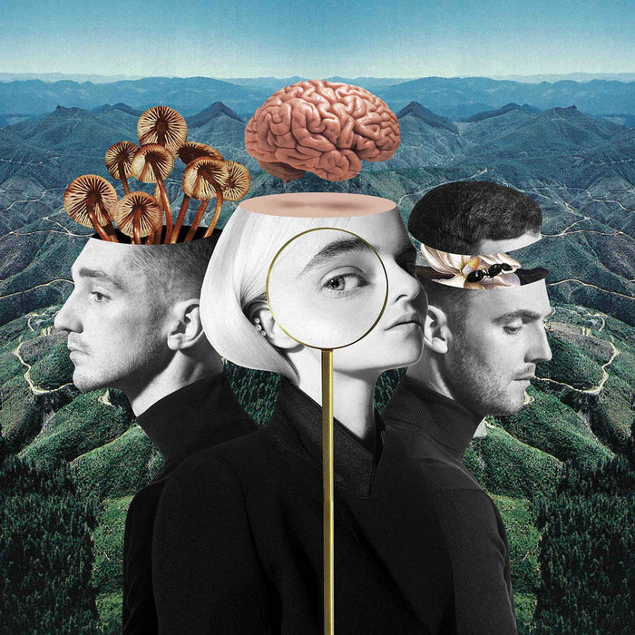 Clean Bandit What Is Love? Double Vinyl LP 2018