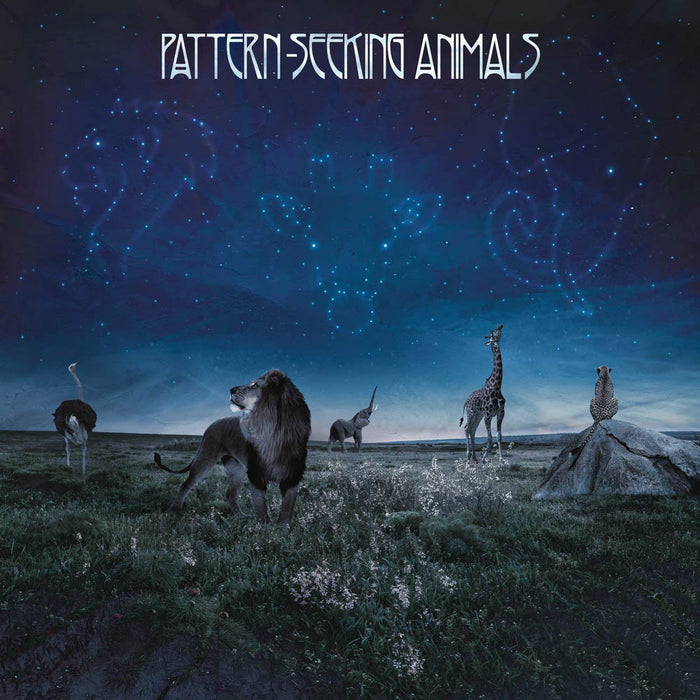 Pattern Seeking Animals Double Vinyl LP New 2019