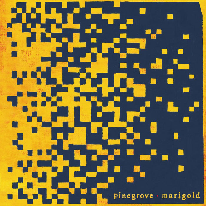 Pinegrove Marigold Vinyl LP 2020