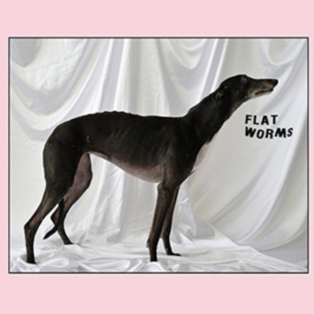 Flat Worms - Flat Worms Vinyl LP 2017