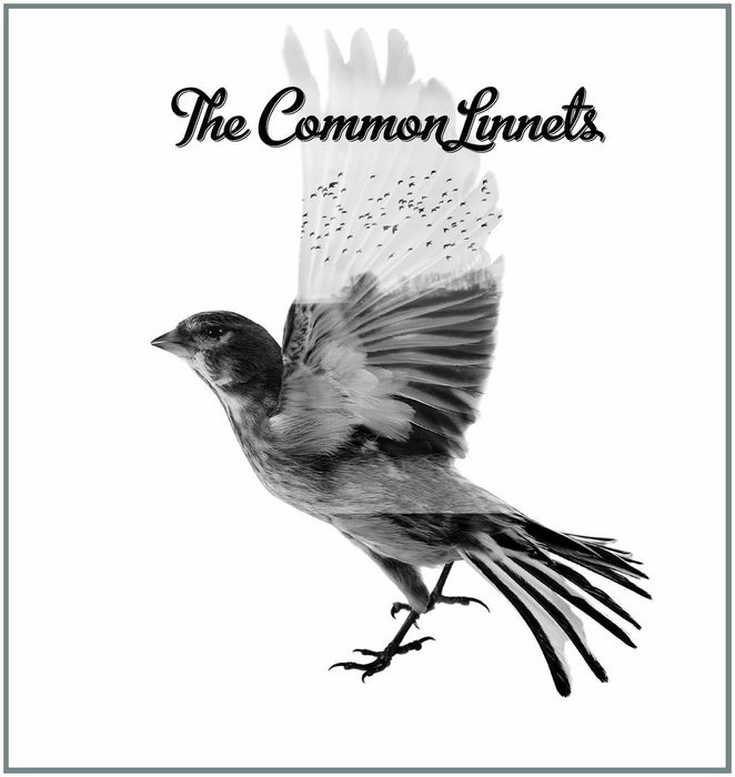 COMMON LINNETSCOMMON LINNETS LP VINYL 33RPM NEW