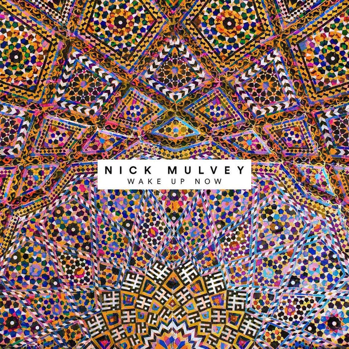 NICK MULVEY Wake Up Now LP Vinyl NEW 2017