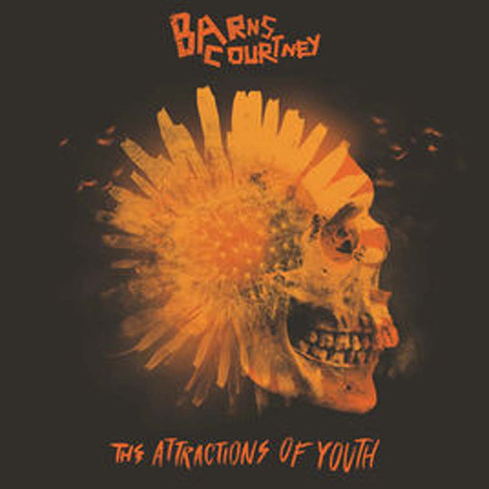BARNS COURTNEY The Attractions of Youth 12" Picture Disc NEW 2017