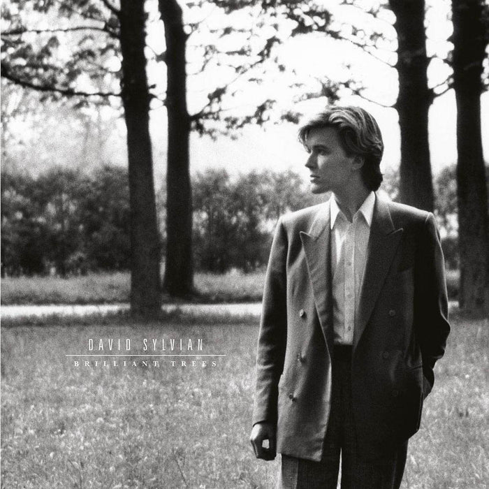 David Sylvian Brilliant Trees Vinyl LP New 2019