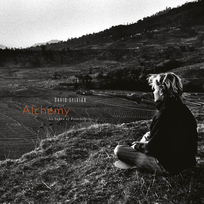 David Sylvian Alchemy An Index of Possibilities Vinyl LP New 2019