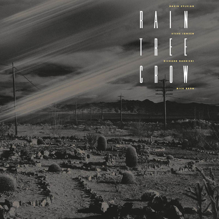 Rain Tree Crow Vinyl LP 2019