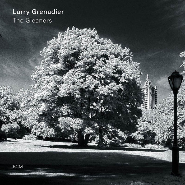 Larry Grenadier The Gleaners Vinyl LP 2019