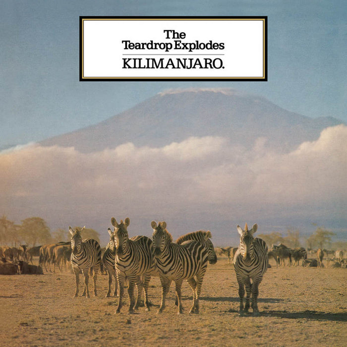 The Teardrop Explodes Kilimanjaro Vinyl LP 2019