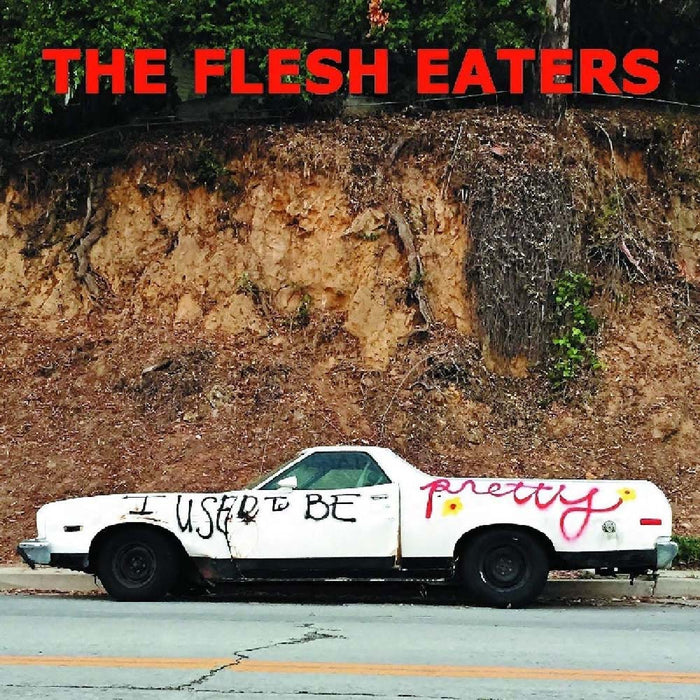 The Flesh Eaters I Used To Be Pretty Vinyl LP New 2019