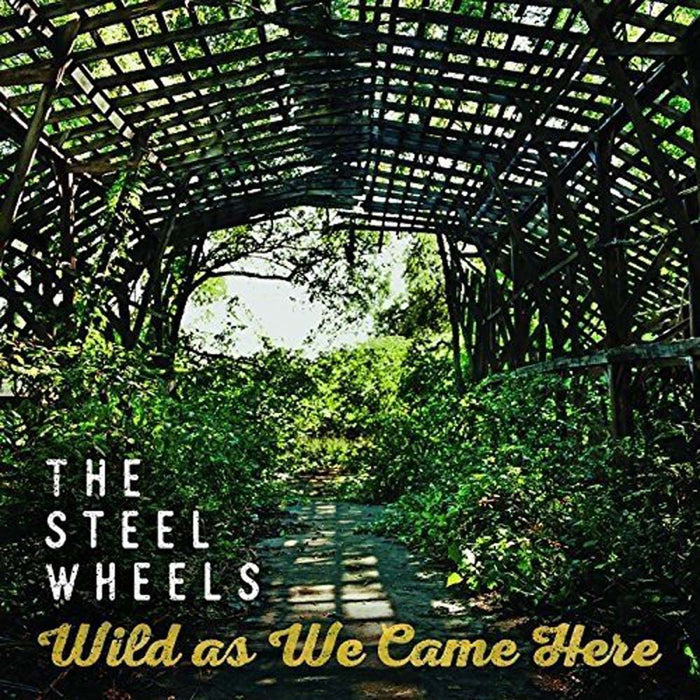 THE STEEL WHEELS Wild As We Came Here LP Vinyl NEW 2017