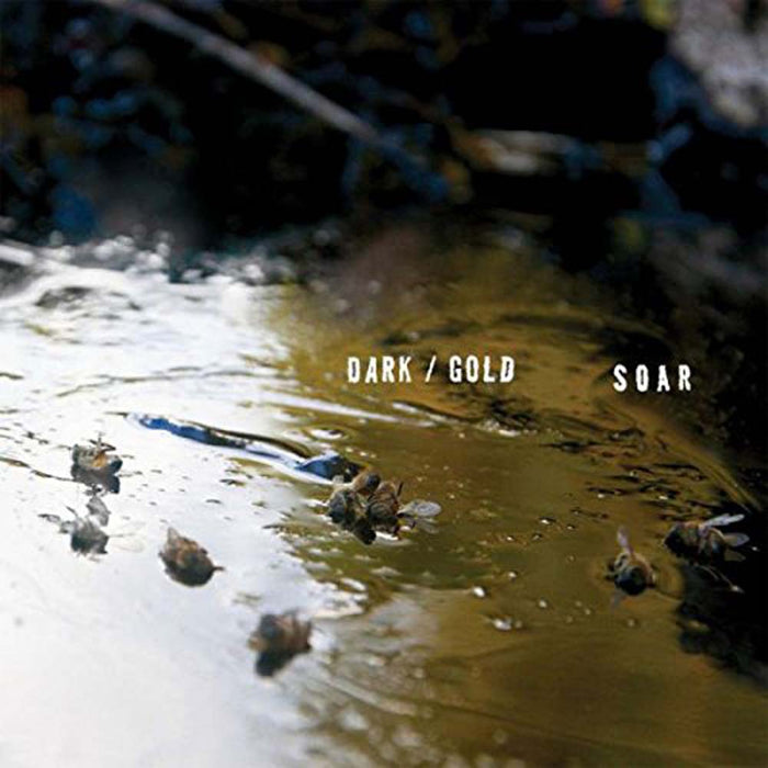 SOAR Dark/Gold LP Vinyl NEW 2017