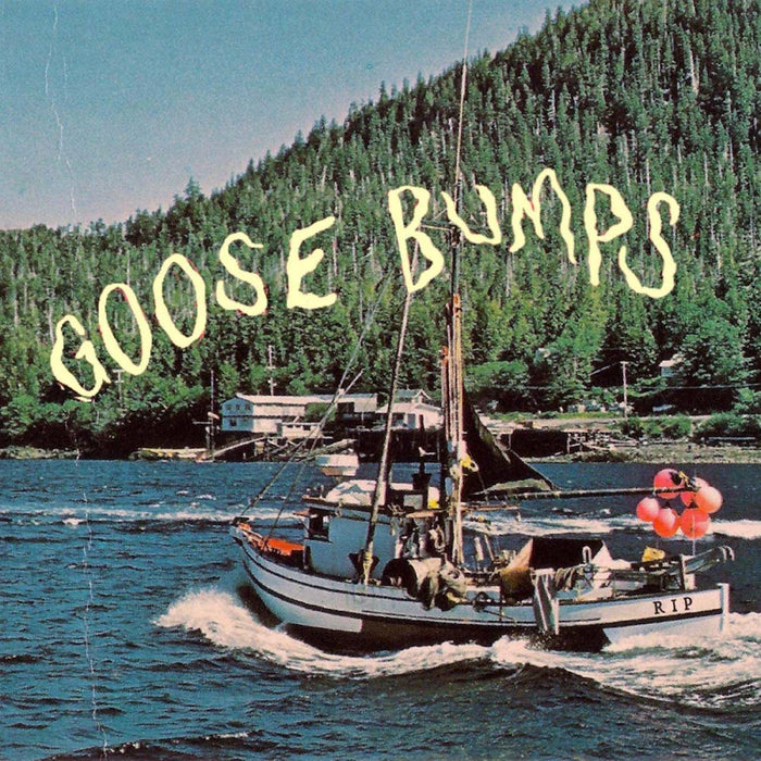 Boyscott Goose Bumps Vinyl LP 2019