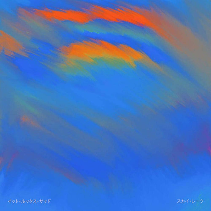 It Looks Sad Sky Lake Vinyl LP 2019