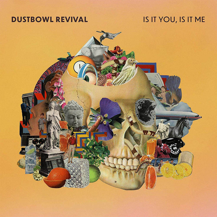 Dustbowl Revival Is It You Is It Me Vinyl LP 2020