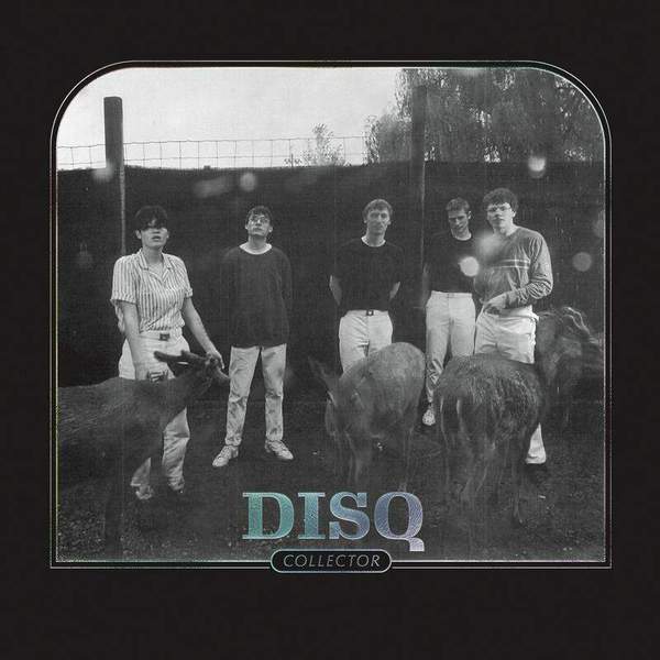 Disq Collector Vinyl LP 2020