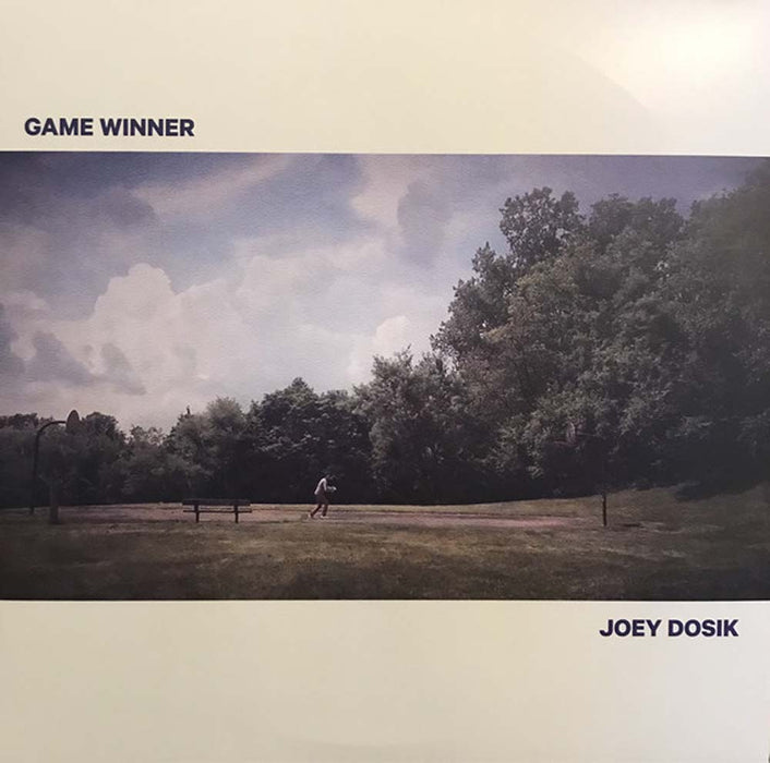 Joey Dosik Inside Voice Vinyl EP New 2018