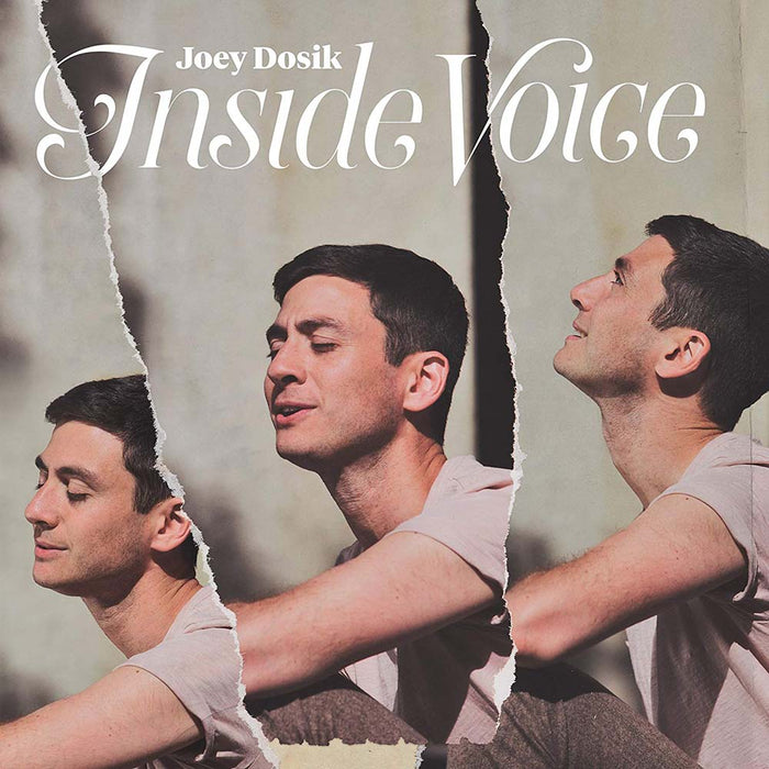 Joey Dosik Inside Voice White Vinyl New 2018