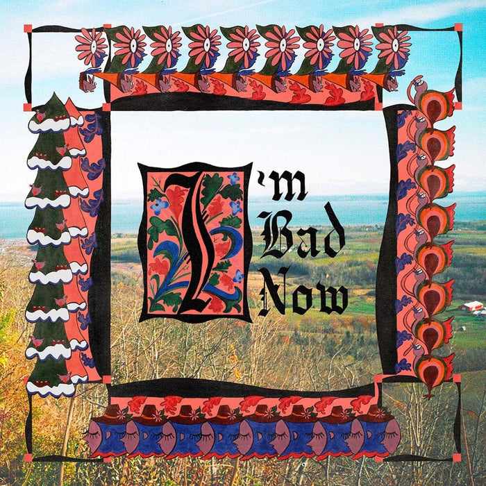 Nap Eyes I'm Bad Now Vinyl LP 2018