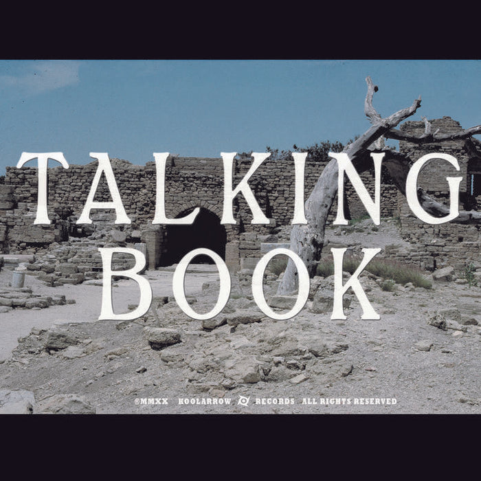 Talking Book Talking Book II Vinyl LP 2020