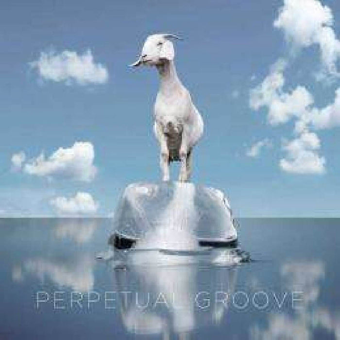 Perpetual Groove Coloured Vinyl LP New 2019